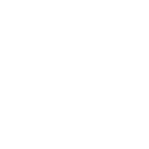 Bodacious logo