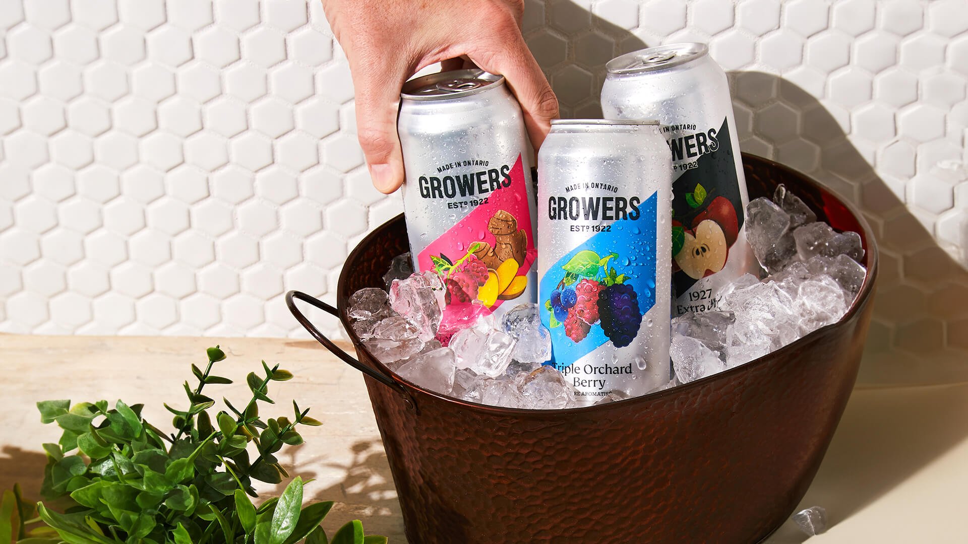 Cans of Growers being chilled.